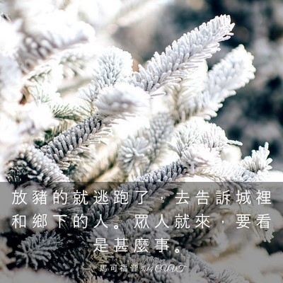 Picture 03 - 馬 可 福 音 5:14 CUVT - 放 豬 的 就 逃 跑 了 ， 去 告 訴 城 - Bible Verse Picture