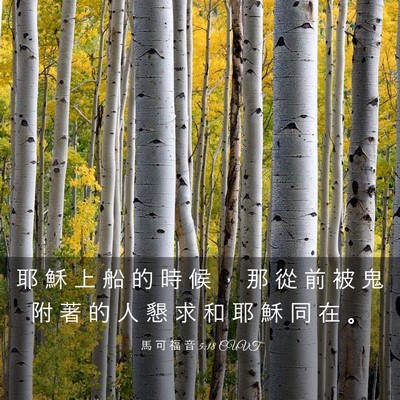 Picture 03 - 馬 可 福 音 5:18 CUVT - 耶 穌 上 船 的 時 候 ， 那 從 前 被 - Bible Verse Picture