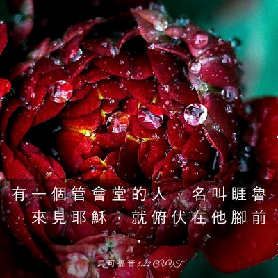 Picture 03 - 馬 可 福 音 5:22 CUVT - 有 一 個 管 會 堂 的 人 ， 名 叫 睚 - Bible Verse Picture