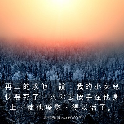 Picture 03 - 馬 可 福 音 5:23 CUVT - 再 三 的 求 他 ， 說 ： 我 的 小 女 - Bible Verse Picture