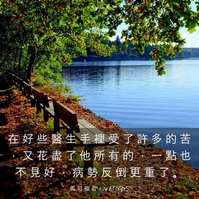 Picture 03 - 馬 可 福 音 5:26 CUVT - 在 好 些 醫 生 手 裡 受 了 許 多 的 - Bible Verse Picture