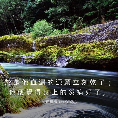 Picture 03 - 馬 可 福 音 5:29 CUVT - 於 是 他 血 漏 的 源 頭 立 刻 乾 了 - Bible Verse Picture