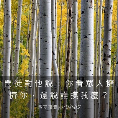 Picture 03 - 馬 可 福 音 5:31 CUVT - 門 徒 對 他 說 ： 你 看 眾 人 擁 擠 - Bible Verse Picture