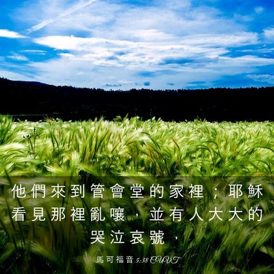 Picture 03 - 馬 可 福 音 5:38 CUVT - 他 們 來 到 管 會 堂 的 家 裡 ； 耶 - Bible Verse Picture