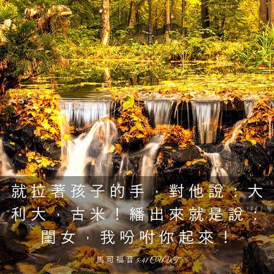 Picture 03 - 馬 可 福 音 5:41 CUVT - 就 拉 著 孩 子 的 手 ， 對 他 說 ： - Bible Verse Picture