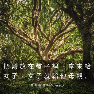 Picture 03 - 馬 可 福 音 6:28 CUVT - 把 頭 放 在 盤 子 裡 ， 拿 來 給 女 - Bible Verse Picture