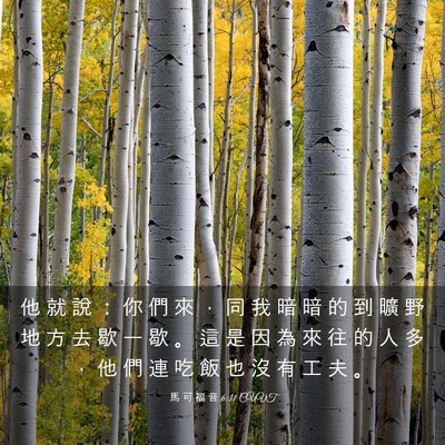 Picture 03 - 馬 可 福 音 6:31 CUVT - 他 就 說 ： 你 們 來 ， 同 我 暗 暗 - Bible Verse Picture