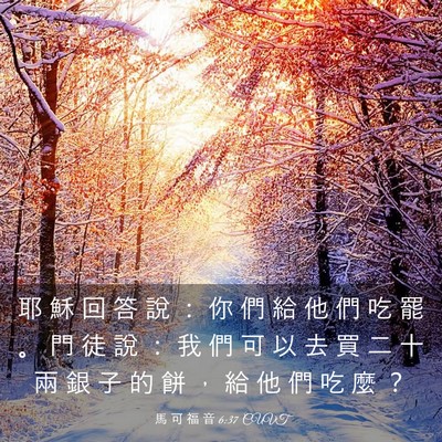 Picture 03 - 馬 可 福 音 6:37 CUVT - 耶 穌 回 答 說 ： 你 們 給 他 們 吃 - Bible Verse Picture