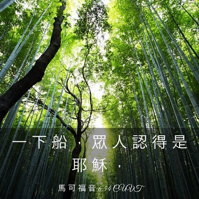 Picture 03 - 馬 可 福 音 6:54 CUVT - 一 下 船 ， 眾 人 認 得 是 耶 穌 - Bible Verse Picture