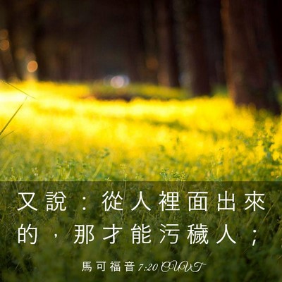 Picture 03 - 馬 可 福 音 7:20 CUVT - 又 說 ： 從 人 裡 面 出 來 的 ， 那 - Bible Verse Picture