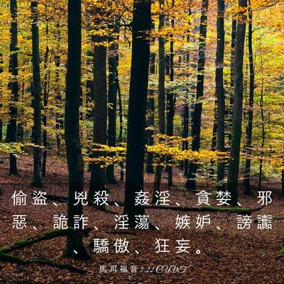 Picture 03 - 馬 可 福 音 7:22 CUVT - 偷 盜 、 兇 殺 、 姦 淫 、 貪 婪 、 - Bible Verse Picture