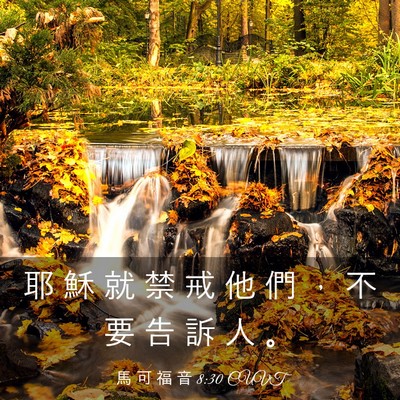 Picture 03 - 馬 可 福 音 8:30 CUVT - 耶 穌 就 禁 戒 他 們 ， 不 要 告 訴 - Bible Verse Picture