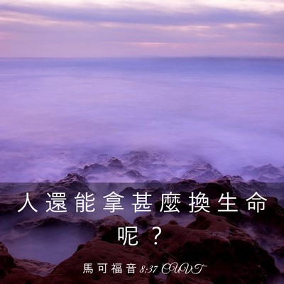 Picture 03 - 馬 可 福 音 8:37 CUVT - 人 還 能 拿 甚 麼 換 生 命 呢 - Bible Verse Picture