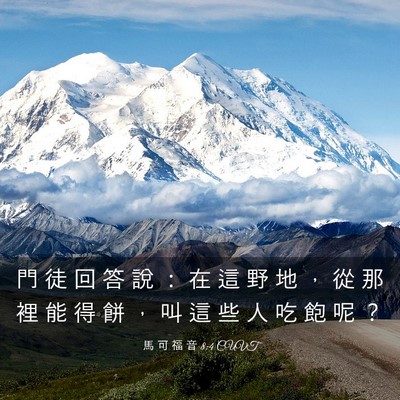 Picture 03 - 馬 可 福 音 8:4 CUVT - 門 徒 回 答 說 ： 在 這 野 地 ， 從 - Bible Verse Picture