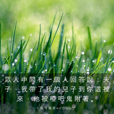 Picture 03 - 馬 可 福 音 9:17 CUVT - 眾 人 中 間 有 一 個 人 回 答 說 ： - Bible Verse Picture