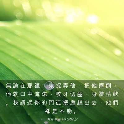 Picture 03 - 馬 可 福 音 9:18 CUVT - 無 論 在 那 裡 ， 鬼 捉 弄 他 ， 把 - Bible Verse Picture