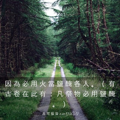 Picture 03 - 馬 可 福 音 9:49 CUVT - 因 為 必 用 火 當 鹽 醃 各 人 。 （ - Bible Verse Picture