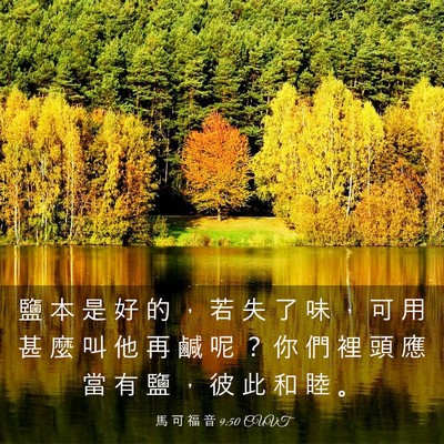 Picture 03 - 馬 可 福 音 9:50 CUVT - 鹽 本 是 好 的 ， 若 失 了 味 ， 可 - Bible Verse Picture