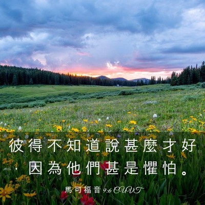 Picture 03 - 馬 可 福 音 9:6 CUVT - 彼 得 不 知 道 說 甚 麼 才 好 ， 因 - Bible Verse Picture