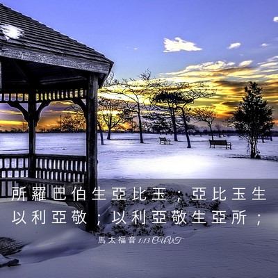 Picture 03 - 馬 太 福 音 1:13 CUVT - 所 羅 巴 伯 生 亞 比 玉 ； 亞 比 玉 - Bible Verse Picture