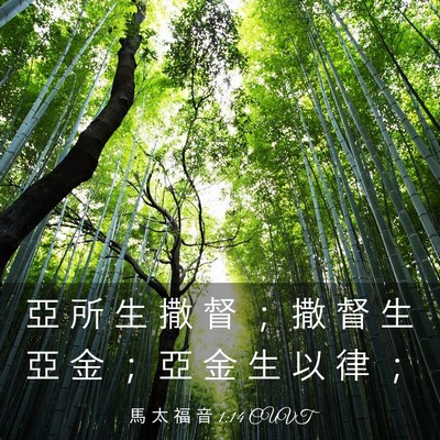 Picture 03 - 馬 太 福 音 1:14 CUVT - 亞 所 生 撒 督 ； 撒 督 生 亞 金 ； - Bible Verse Picture