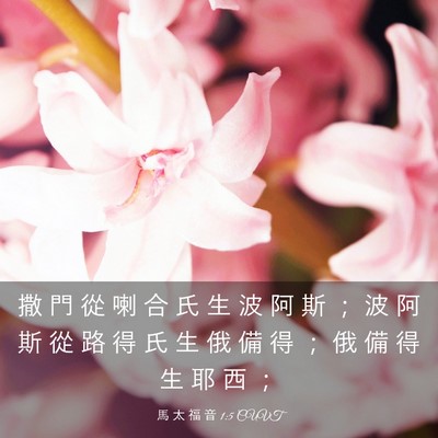 Picture 03 - 馬 太 福 音 1:5 CUVT - 撒 門 從 喇 合 氏 生 波 阿 斯 ； 波 - Bible Verse Picture