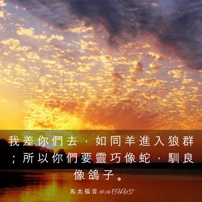 Picture 03 - 馬 太 福 音 10:16 CUVT - 我 差 你 們 去 ， 如 同 羊 進 入 狼 - Bible Verse Picture