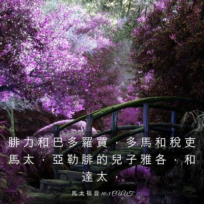 Picture 03 - 馬 太 福 音 10:3 CUVT - 腓 力 和 巴 多 羅 買 ， 多 馬 和 稅 - Bible Verse Picture