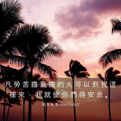 Picture 03 - 馬 太 福 音 11:28 CUVT - 凡 勞 苦 擔 重 擔 的 人 可 以 到 我 - Bible Verse Picture
