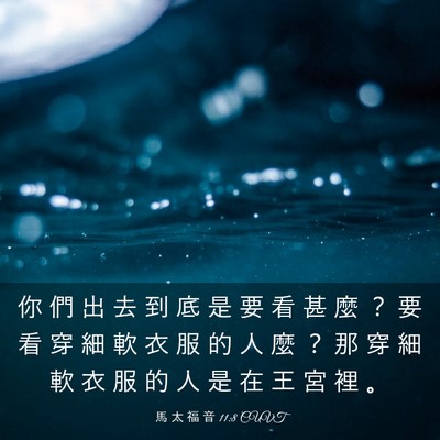 Picture 03 - 馬 太 福 音 11:8 CUVT - 你 們 出 去 到 底 是 要 看 甚 麼 ？ - Bible Verse Picture