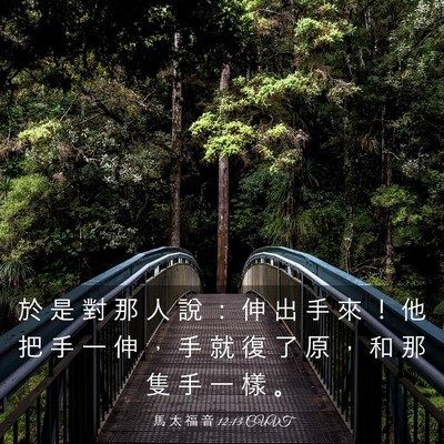 Picture 03 - 馬 太 福 音 12:13 CUVT - 於 是 對 那 人 說 ： 伸 出 手 來 ！ - Bible Verse Picture