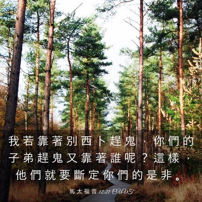 Picture 03 - 馬 太 福 音 12:27 CUVT - 我 若 靠 著 別 西 卜 趕 鬼 ， 你 們 - Bible Verse Picture
