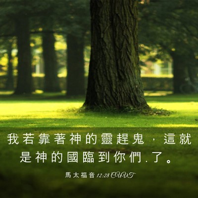 Picture 03 - 馬 太 福 音 12:28 CUVT - 我 若 靠 著 神 的 靈 趕 鬼 ， 這 就 - Bible Verse Picture