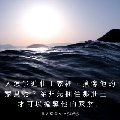 Picture 03 - 馬 太 福 音 12:29 CUVT - 人 怎 能 進 壯 士 家 裡 ， 搶 奪 他 - Bible Verse Picture