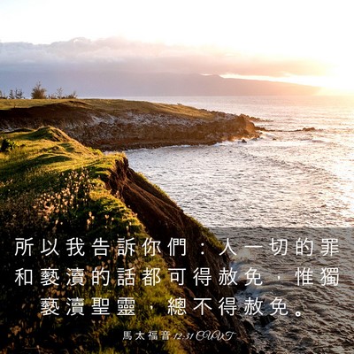 Picture 03 - 馬 太 福 音 12:31 CUVT - 所 以 我 告 訴 你 們 ： 人 一 切 的 - Bible Verse Picture