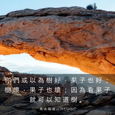 Picture 03 - 馬 太 福 音 12:33 CUVT - 你 們 或 以 為 樹 好 ， 果 子 也 好 - Bible Verse Picture