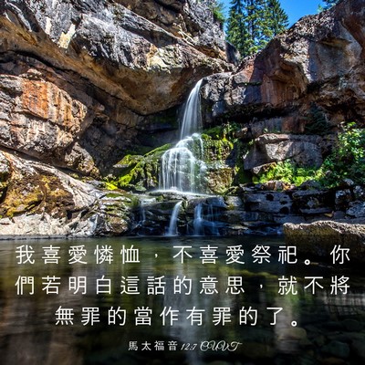Picture 03 - 馬 太 福 音 12:7 CUVT - 我 喜 愛 憐 恤 ， 不 喜 愛 祭 祀 。 - Bible Verse Picture