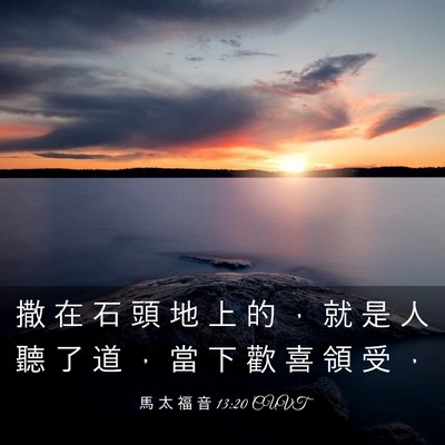 Picture 03 - 馬 太 福 音 13:20 CUVT - 撒 在 石 頭 地 上 的 ， 就 是 人 聽 - Bible Verse Picture