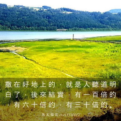 Picture 03 - 馬 太 福 音 13:23 CUVT - 撒 在 好 地 上 的 ， 就 是 人 聽 道 - Bible Verse Picture