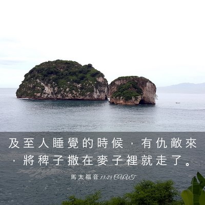Picture 03 - 馬 太 福 音 13:25 CUVT - 及 至 人 睡 覺 的 時 候 ， 有 仇 敵 - Bible Verse Picture