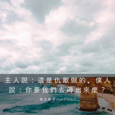 Picture 03 - 馬 太 福 音 13:28 CUVT - 主 人 說 ： 這 是 仇 敵 做 的 。 僕 - Bible Verse Picture