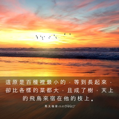 Picture 03 - 馬 太 福 音 13:32 CUVT - 這 原 是 百 種 裡 最 小 的 ， 等 到 - Bible Verse Picture