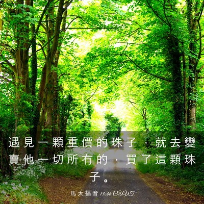 Picture 03 - 馬 太 福 音 13:46 CUVT - 遇 見 一 顆 重 價 的 珠 子 ， 就 去 - Bible Verse Picture