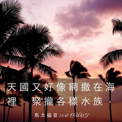 Picture 03 - 馬 太 福 音 13:47 CUVT - 天 國 又 好 像 網 撒 在 海 裡 ， 聚 - Bible Verse Picture