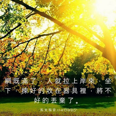 Picture 03 - 馬 太 福 音 13:48 CUVT - 網 既 滿 了 ， 人 就 拉 上 岸 來 ， - Bible Verse Picture