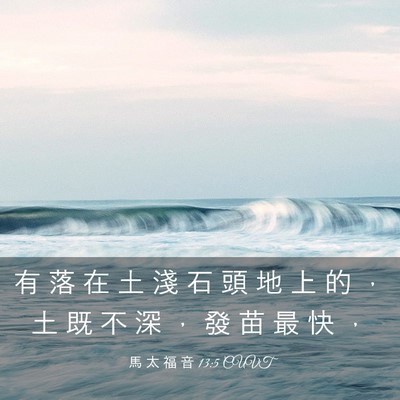 Picture 03 - 馬 太 福 音 13:5 CUVT - 有 落 在 土 淺 石 頭 地 上 的 ， 土 - Bible Verse Picture