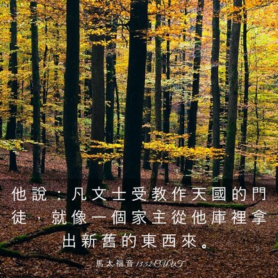 Picture 03 - 馬 太 福 音 13:52 CUVT - 他 說 ： 凡 文 士 受 教 作 天 國 的 - Bible Verse Picture