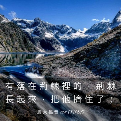 Picture 03 - 馬 太 福 音 13:7 CUVT - 有 落 在 荊 棘 裡 的 ， 荊 棘 長 起 - Bible Verse Picture