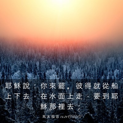 Picture 03 - 馬 太 福 音 14:29 CUVT - 耶 穌 說 ： 你 來 罷 。 彼 得 就 從 - Bible Verse Picture