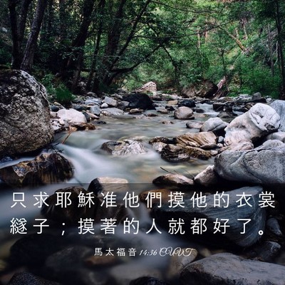 Picture 03 - 馬 太 福 音 14:36 CUVT - 只 求 耶 穌 准 他 們 摸 他 的 衣 裳 - Bible Verse Picture